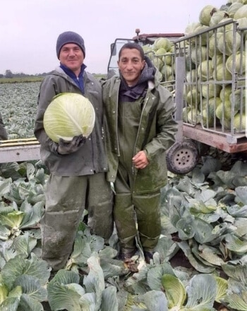 Landbouw oogst personeel voor agrarische bedrijven