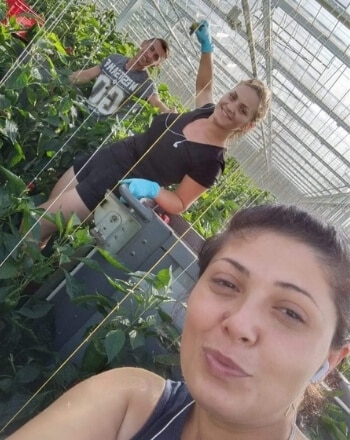 Personeel in de glas- en tuinbouw